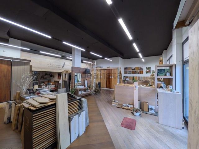 Locale Commerciale in vendita a Nord-Est, Brenzone