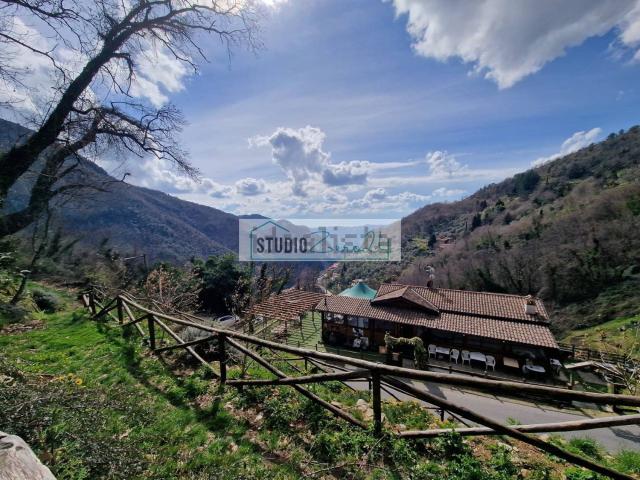 Locale Commerciale in vendita a Bollogno, Camaiore