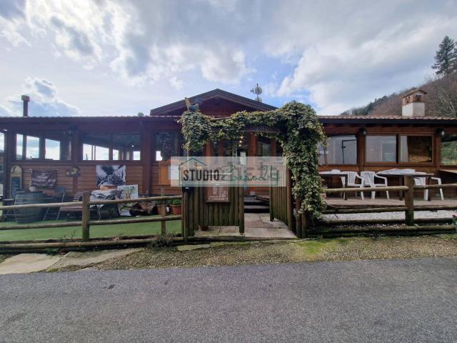 Locale Commerciale in vendita a Bollogno, Camaiore