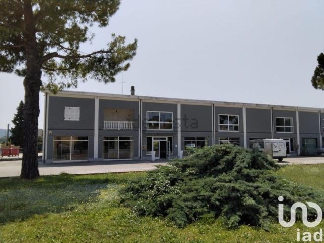Locale Commerciale in vendita a Piantata del Ponte, Marche