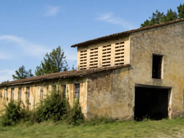 Locale Commerciale in vendita a Montopoli val D'arno, Montopoli in Val d'Arno