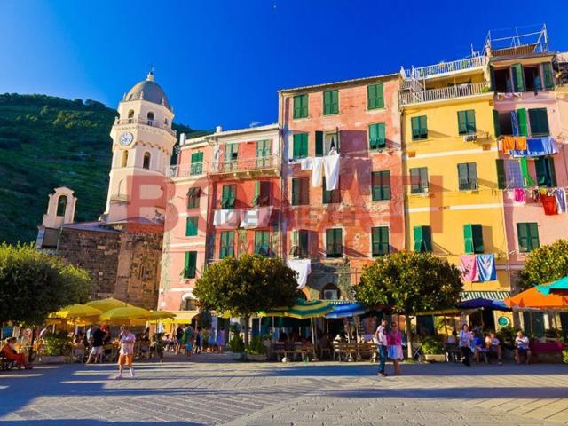 Locale Commerciale in vendita a Vernazza, Liguria