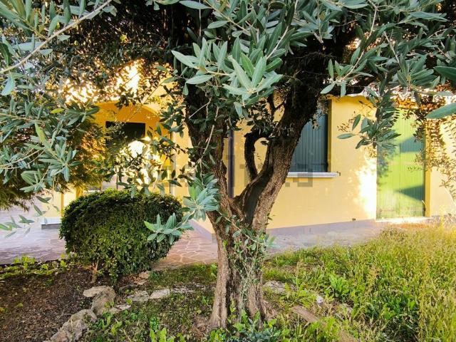Locale Commerciale in vendita a Fornase, Spinea