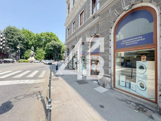 Locale Commerciale in vendita a Città Nuova-Barriera Nuova-San Vito-Città Vecchia, Villa Opicina