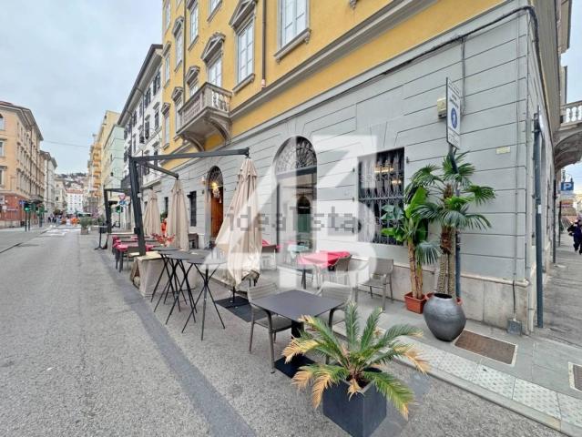 Locale Commerciale in vendita a Città Nuova-Barriera Nuova-San Vito-Città Vecchia, Villa Opicina