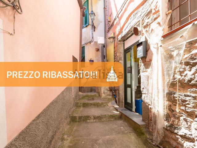 Locale Commerciale in vendita a Vernazza, Liguria
