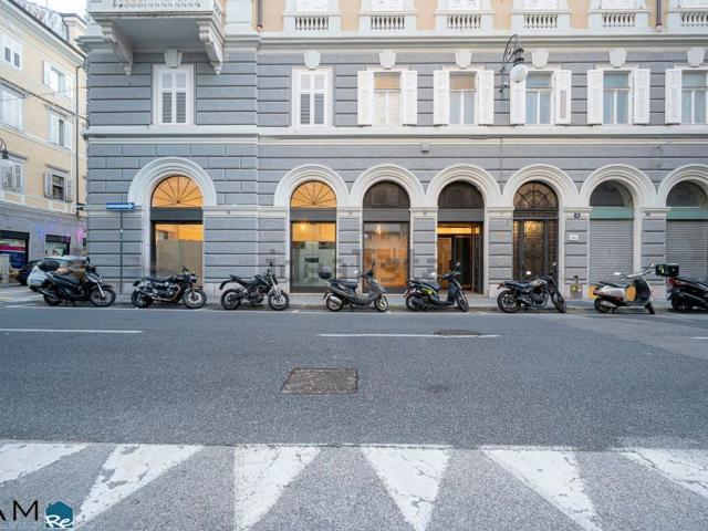 Locale Commerciale in vendita a Città Nuova-Barriera Nuova-San Vito-Città Vecchia, Villa Opicina