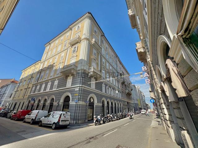 Locale Commerciale in vendita a Città Nuova-Barriera Nuova-San Vito-Città Vecchia, Villa Opicina