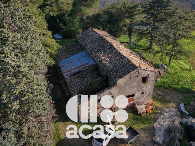 Locale Commerciale in vendita a Sasso, Roncofreddo