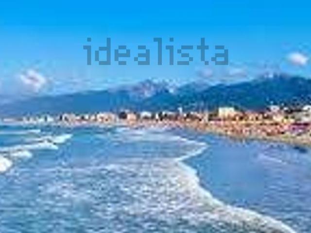 Locale Commerciale in vendita a Camaiore, Toscana