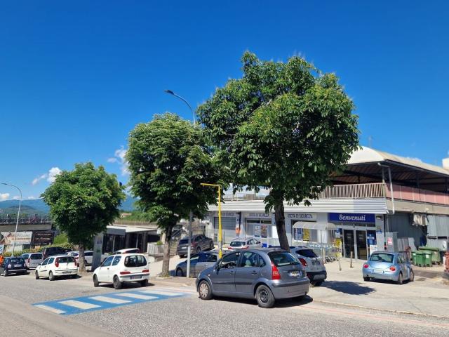 Locale Commerciale in vendita a Signora Rosa, Isernia