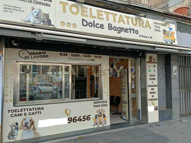 Locale Commerciale in vendita a Monte Po-Nesima-San Leone-Rapisardi, Catania
