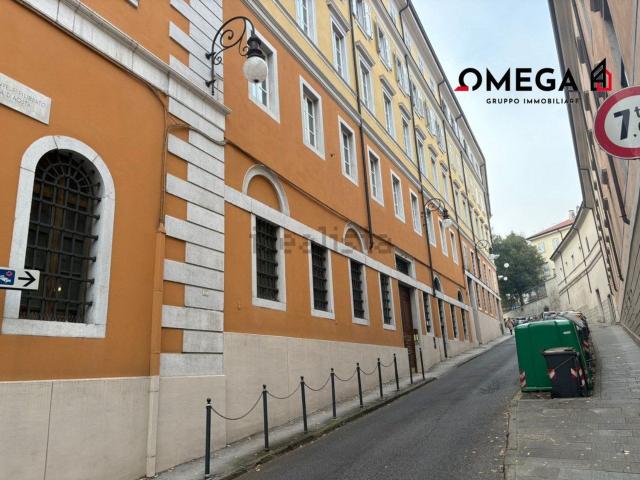 Locale Commerciale in vendita a Città Nuova-Barriera Nuova-San Vito-Città Vecchia, Villa Opicina