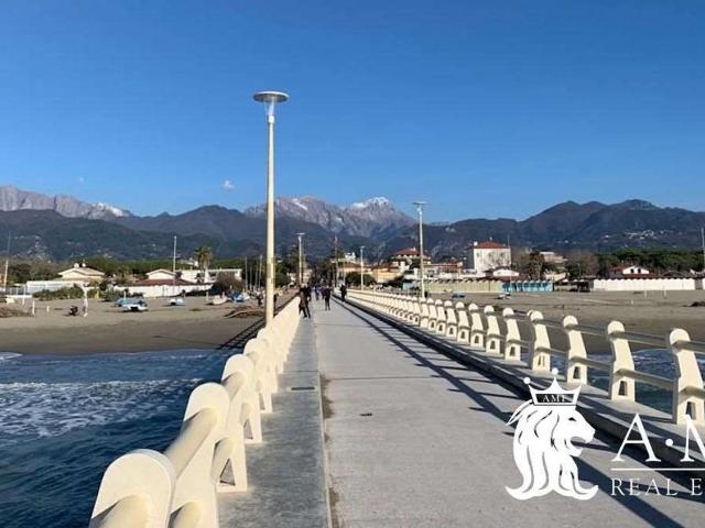 Locale Commerciale in vendita a Vittoria Apuana, Forte Dei Marmi