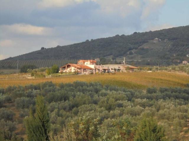 Locale Commerciale in vendita a San Martino, Montecchio