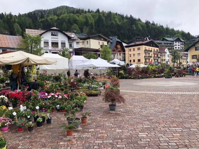 Locale Commerciale in vendita a Tarvisio, Friuli-Venezia Giulia