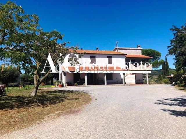 Locale Commerciale in vendita a Magliano In Toscana, Toscana