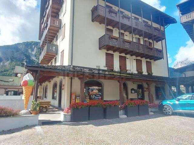 Locale Commerciale in vendita a Forni Di Sopra, Friuli-Venezia Giulia