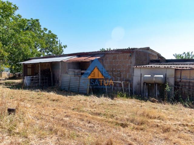 Locale Commerciale in vendita a Graffignano, Lazio