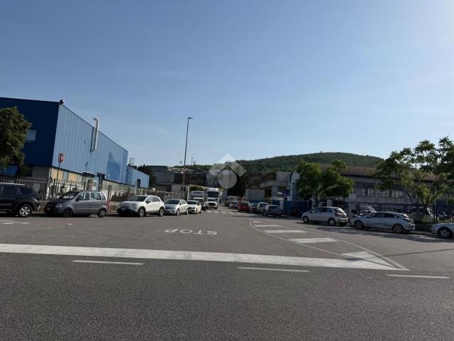 Locale Commerciale in vendita a Muggiò, Friuli-Venezia Giulia