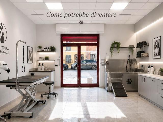 Locale Commerciale in vendita a Conselice, Ravenna