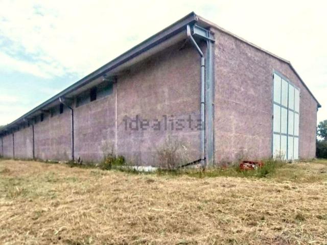 Locale Commerciale in vendita a Calabria, Reggio Calabria