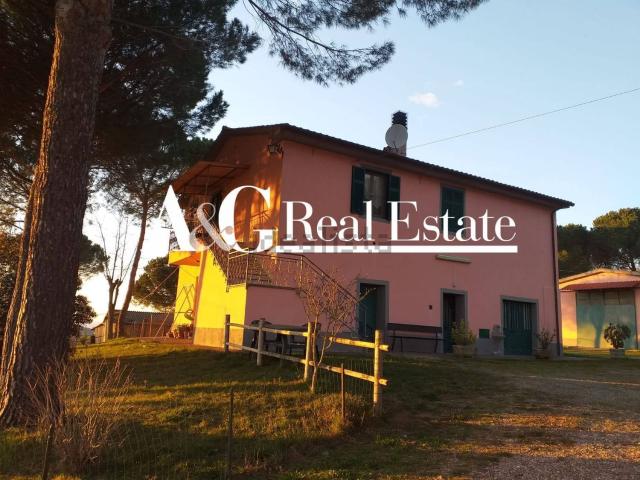 Locale Commerciale in vendita a Montiano, Magliano In Toscana