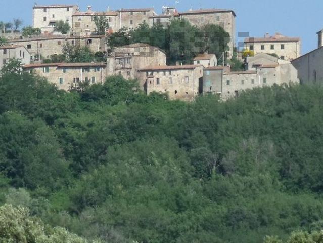 Locale Commerciale in vendita a Campagnatico, Toscana