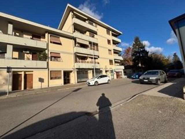 Locale Commerciale in vendita a Mantignano, Firenze