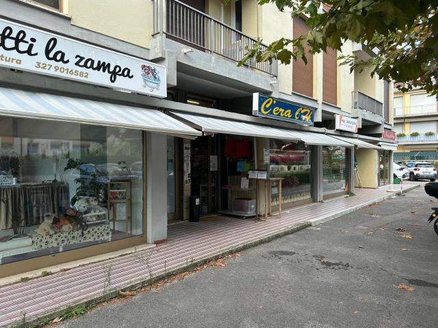 Locale Commerciale in vendita a Camaiore, Toscana