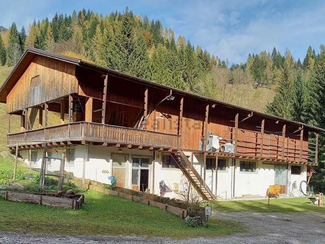 Locale Commerciale in vendita a Sauris, Friuli-Venezia Giulia