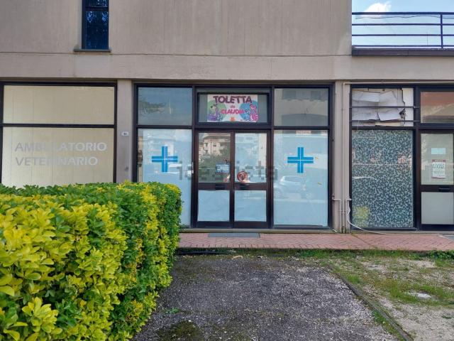 Locale Commerciale in vendita a Petignano, Orte