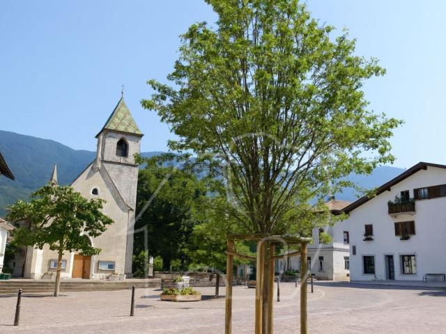 Locale Commerciale in vendita a Überetsch-Unterland - Oltradige-Bassa Atesina, Trentino-Alto Adige/Südtirol