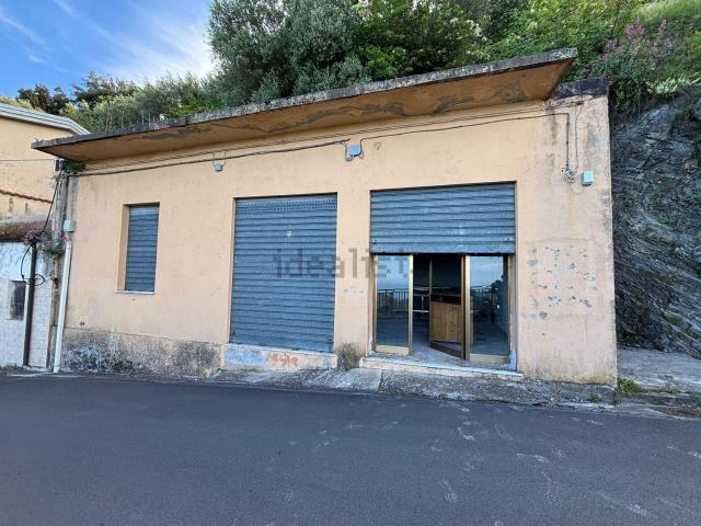 Locale Commerciale in vendita a Calabria, Cosenza