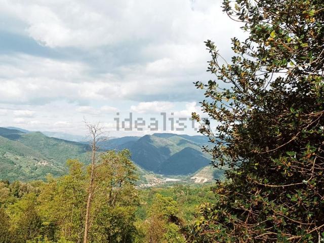 Locale Commerciale in vendita a Unione dei comuni Media Valle del Serchio, Borgo A Mozzano