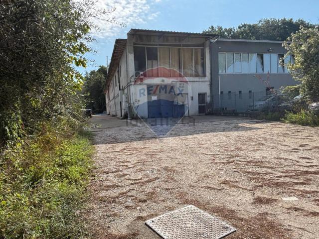 Locale Commerciale in vendita a Unione dei Comuni Circondario dell'Empolese Valdelsa, Vinci