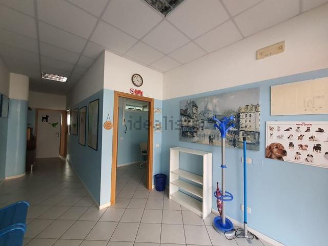 Locale Commerciale in vendita a Commenda Est, Rovigo