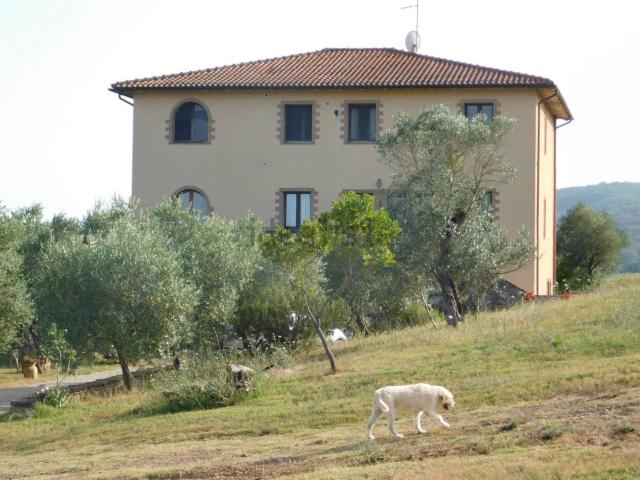 Locale Commerciale in vendita a Civitella Paganico, Campagnatico