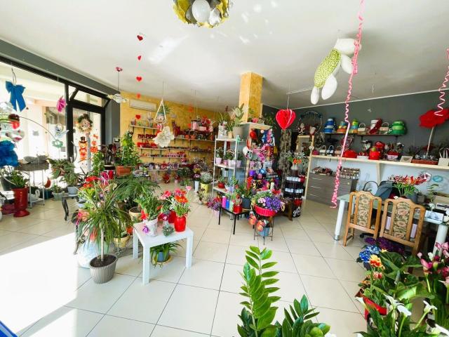 Locale Commerciale in vendita a Paglieta, Abruzzo