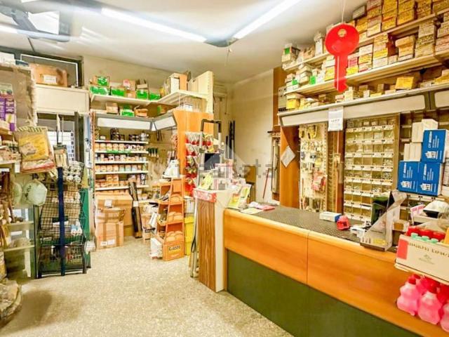 Locale Commerciale in vendita a Bellaria, Peschiera Borromeo