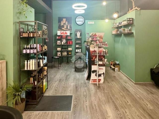 Locale Commerciale in vendita a Ovest, Brenzone