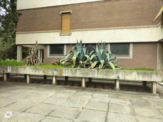 Locale Commerciale in vendita a Borgo Bovio, Terni