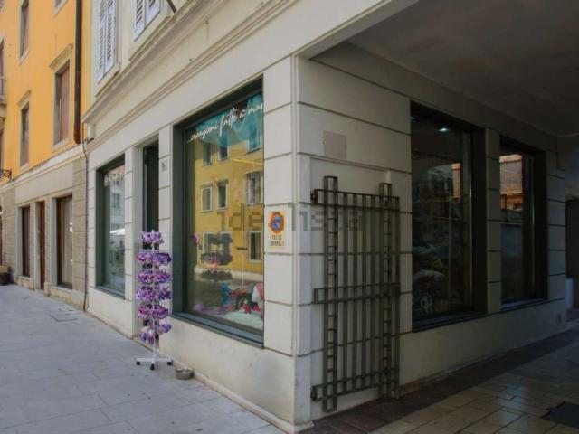 Locale Commerciale in vendita a Borgo Castello, Gorizia