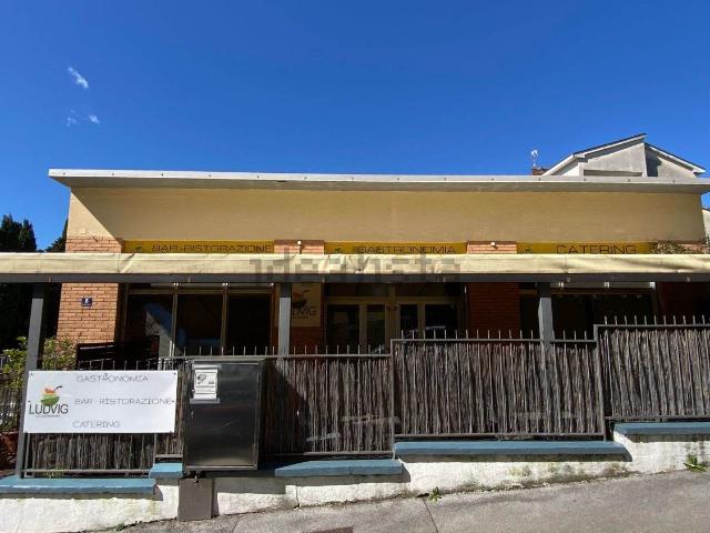 Locale Commerciale in vendita a Servola-Chiarbola-Valmaura-Borgo San Sergio, Villa Opicina