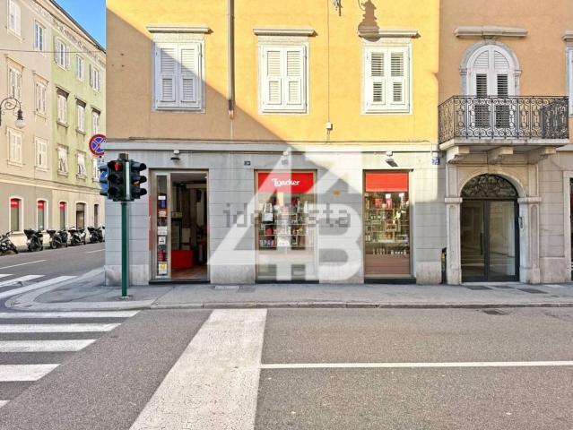 Locale Commerciale in vendita a Città Nuova-Barriera Nuova-San Vito-Città Vecchia, Villa Opicina