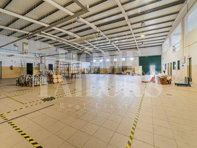 Ponto Comercial venda em Almeirim