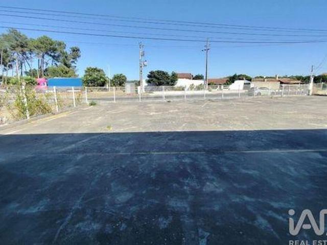 Loja venda em Azambuja, Lisboa