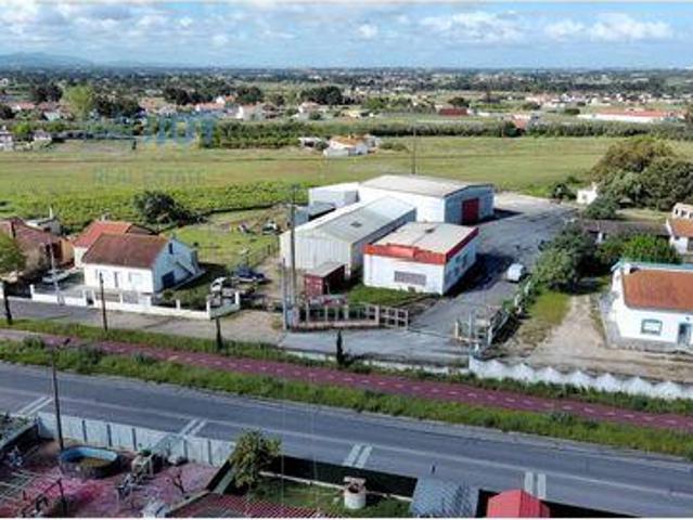 Loja alugar em Jardia, Montijo