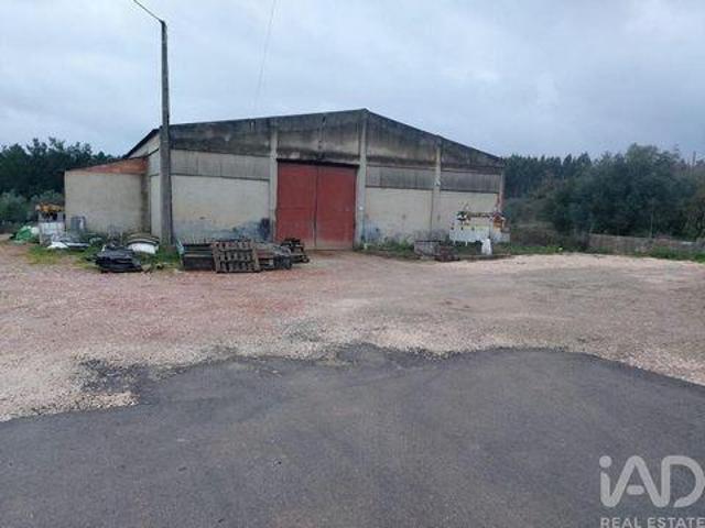 Loja venda em Cruz da Légua, Porto De Mós