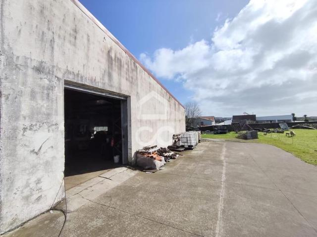 Loja venda em Açores, Lajes